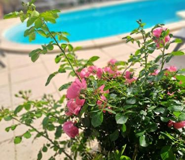 Sainte-Valiere House | La maisonnette avec SPA, PISCINE et CLIMATISATION