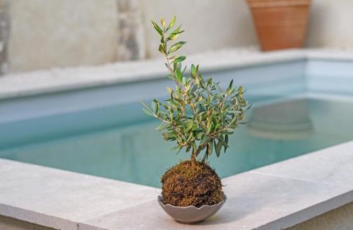 Maussane House | La Petite Maussanaise