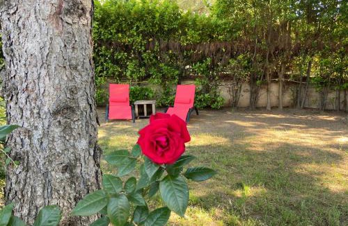 Bonnieux House | La roseraie Bonnieux