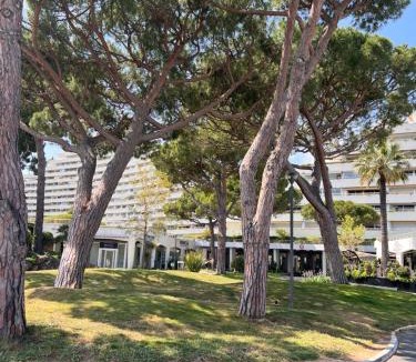 Villeneuve Loubet Beach Apartment | La Studette Marina 06
