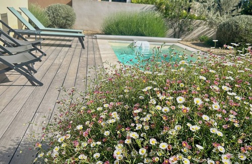 Maussane House | La Verdale in Maussane-les-Alpilles House for 6 people with swimming pool