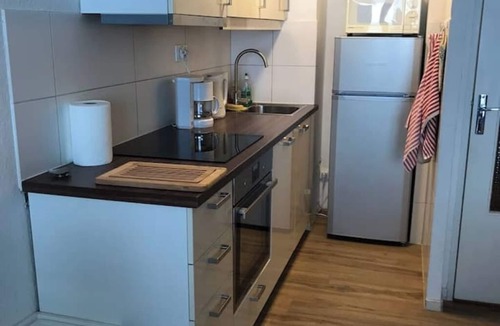 Puy-Saint-Vincent Apartment | Large ski in ski out apartment - 8 to 10 people in Puy Saint Vincent 1600