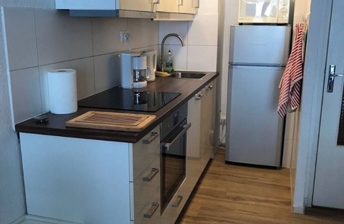 Puy-Saint-Vincent Apartment | Large ski in ski out apartment - 8 to 10 people in Puy Saint Vincent 1600