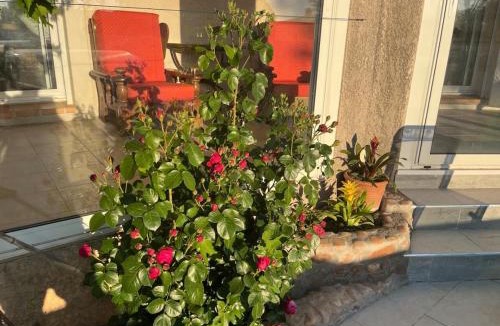 Meynes House | Le Clos des Galets