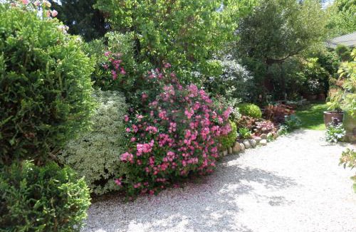 Eyragues Apartment | Le Clos Martin