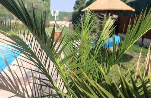 Aramon House | Le gite de lOlivier en Provence