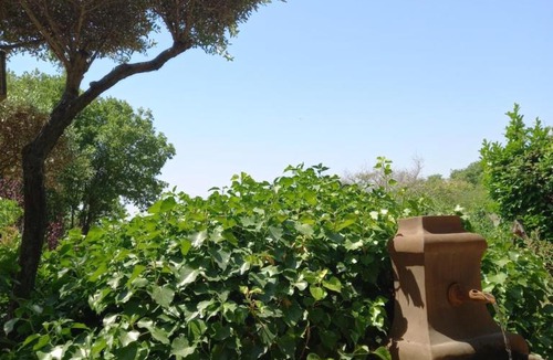 Eguilles House | Le jardin de Sabine