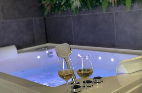 Faubourg Apartment | Le Jungle SPA *