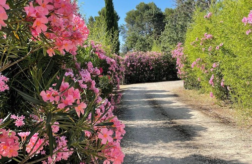 Eygalieres House | Le mas du jardin old farmhouse with modern comforts swimming pool large garden