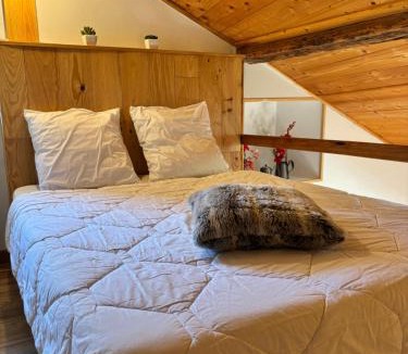 Saint-Paul-sur-Ubaye Apartment | Le Mirandol
