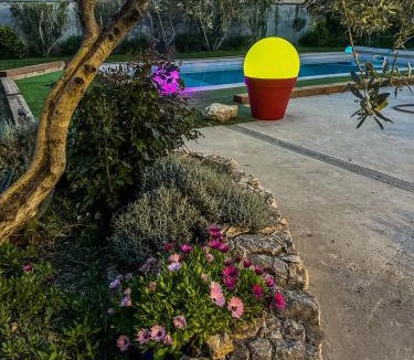 Maillane Apartment | Le Petit Valexiane Piscine & Jardin