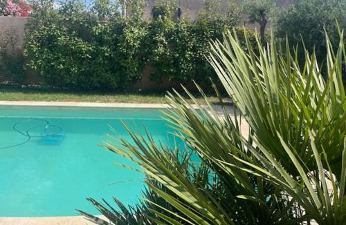 Beaucaire Villa | Les Oliviers