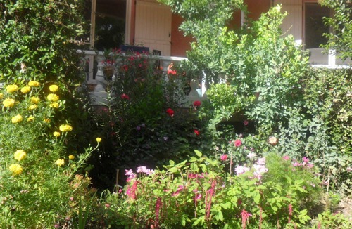 Saliers Apartment | LES PALMIERS: Beautiful, peaceful setting in a Camargue hamlet