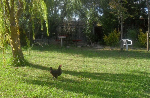 Saliers Apartment | LES PALMIERS: Beautiful, peaceful setting in a Camargue hamlet