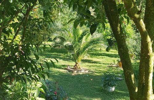 Saliers Apartment | LES PALMIERS: Beautiful, peaceful setting in a Camargue hamlet
