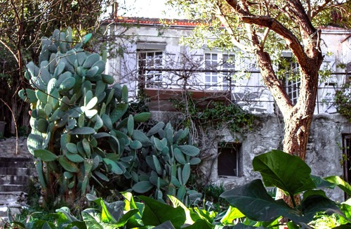 Bompard House | Loue Maison Charmante, vue Mer, Jardin, Proche Plage et Ville