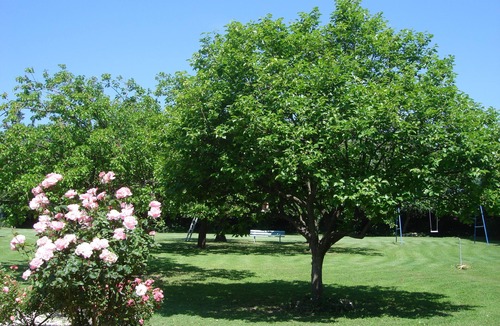 Lambesc House | Lovely family house in the Provence countryside, swimming pool and large garden