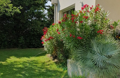 Salon-de-Provence Villa | Lovely spacious contemporary villa in Provence