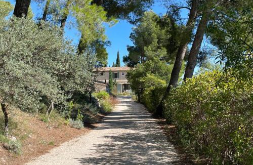 Maussane Bed & Breakfast | Mas Angelou