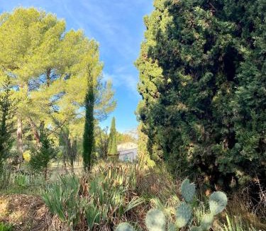 St.-Remy-de-Provence Villa | Mas de la Cadenière
