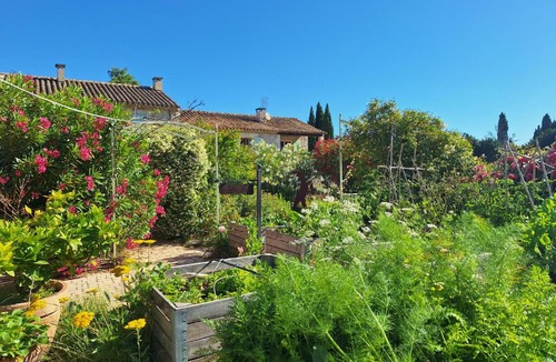 St.-Remy-de-Provence Bed & Breakfast | MAS DES FIGUES - très calme - Certifié Biologique - Parc Naturel Ecologique - Piscine 12x6 - brunch paysan méditerranéen cuisine maison - huile d'olive - Agritourisme - Alpilles - Saint Rémy de Provence- 30 avril au 27 septembre 2026