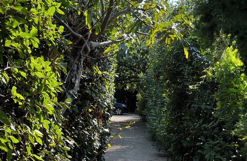 Maussane Villa | Mas Gulliver, in a renowned Alpilles village in the heart of Provence.