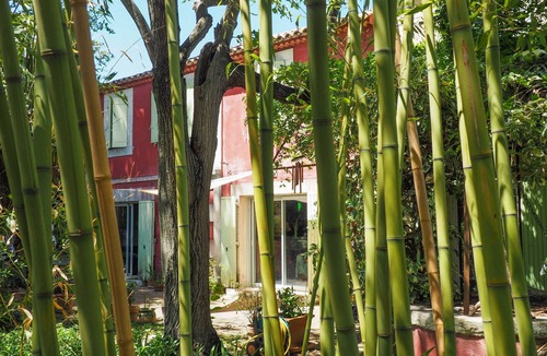 Arles House | Mas on large wooded plot with natural swimming pond.