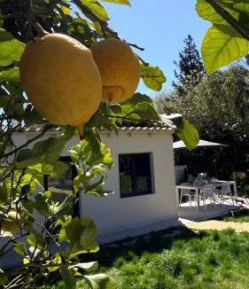 Le Rouret House | Mazets sous le pin