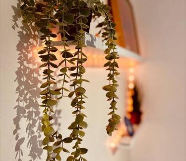 Brignoles Apartment | Mini - Tout petit mais cozy !