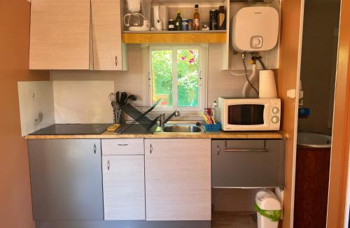 Gemenos Other | Mobil home devant un grenadier