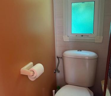 Gemenos Other | Mobil home devant un grenadier