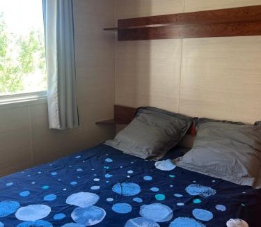 Gemenos Other | Mobil home devant un grenadier
