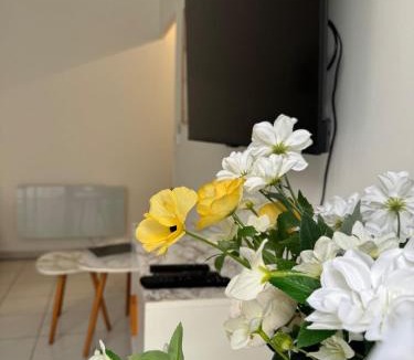 Roquebrune-Cap-Martin Apartment | Mon Appart avec Terrasse et Piscine