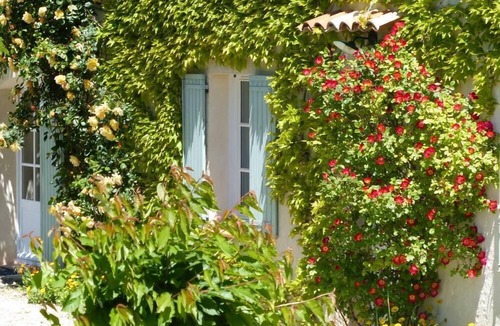 Moustiers-Sainte-Marie Cottage | MOUSTIERS SAINTE MARIE INDEPENDENT APARTMENT IN PRETTY CLOSE VIEW AND QUIET
