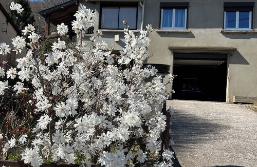 Fraisse-sur-Agout House | Oustal Fraïssignol, a comfortable guesthouse