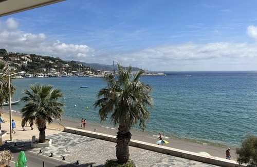 Le Lavandou Apartment | Petit Bijou les Pieds Dans L'eau Pour des Vacances de Rêve !