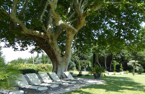 Saint-Andiol House | Provencal farmhouse and its hundred-year-old plane tree, heated and secure pool