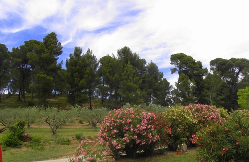 Maussane-les-Alpilles House | Provencal farmhouse with pool, for 6 people in the heart of Provence