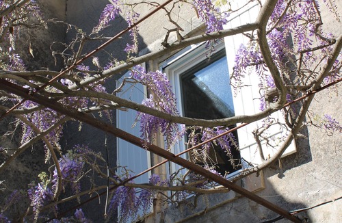 Cheval-Blanc House | Provencal house with heated pool between Luberon & Alpilles - absolute calm