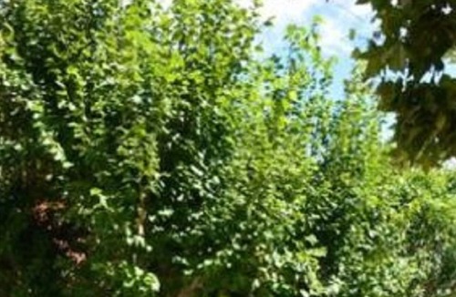 Sud Apartment | Rdc Dans Villa Avec Jardin Centre Ville Aix En Provence