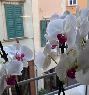 Rovereto Apartment | Rebassotto