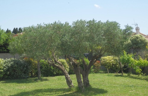 Carcassonne Apartment | Rental T2 near Carcassonne