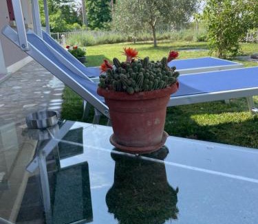 Baone Apartment | Rivad’Elsa