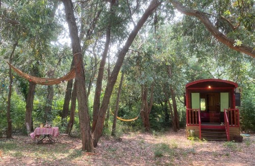 Ramatuelle Cabin | Roulotte de luxe avec piscine partagée à Ramatuelle