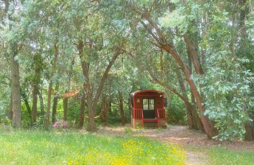 Ramatuelle Cabin | Roulotte de luxe avec piscine partagée à Ramatuelle