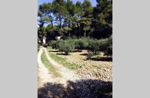 Cheval-Blanc House | Shanti House Luberon