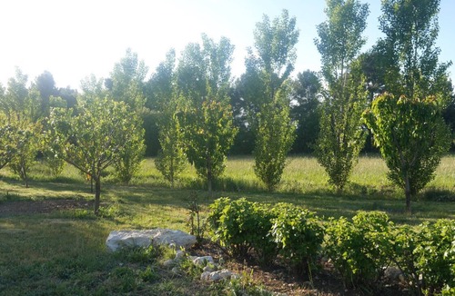 Aix-en-Provence House | Small house within a preserved natural area of 30 hectares.