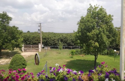 Vignanello Villa | Splendid villa with pool