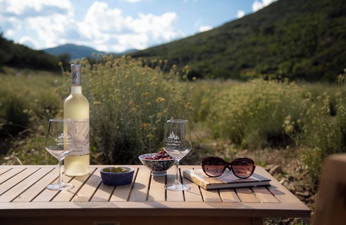 Cessenon-sur-Orb Cottage | Stone cottage, isolated in the heart of the vineyards, close to the river