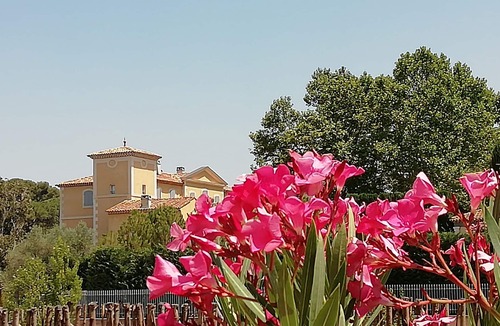 Eguilles Apartment | Studio apartment hotel, terrace, swimming pool, parking Aix en Pce - classified 3 stars